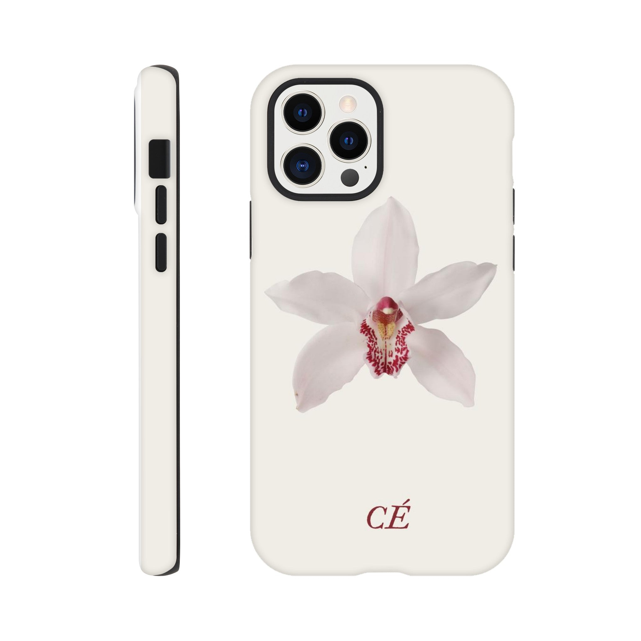 4d05d311-2cea-449a-b74f-a6dbe54f4d6b