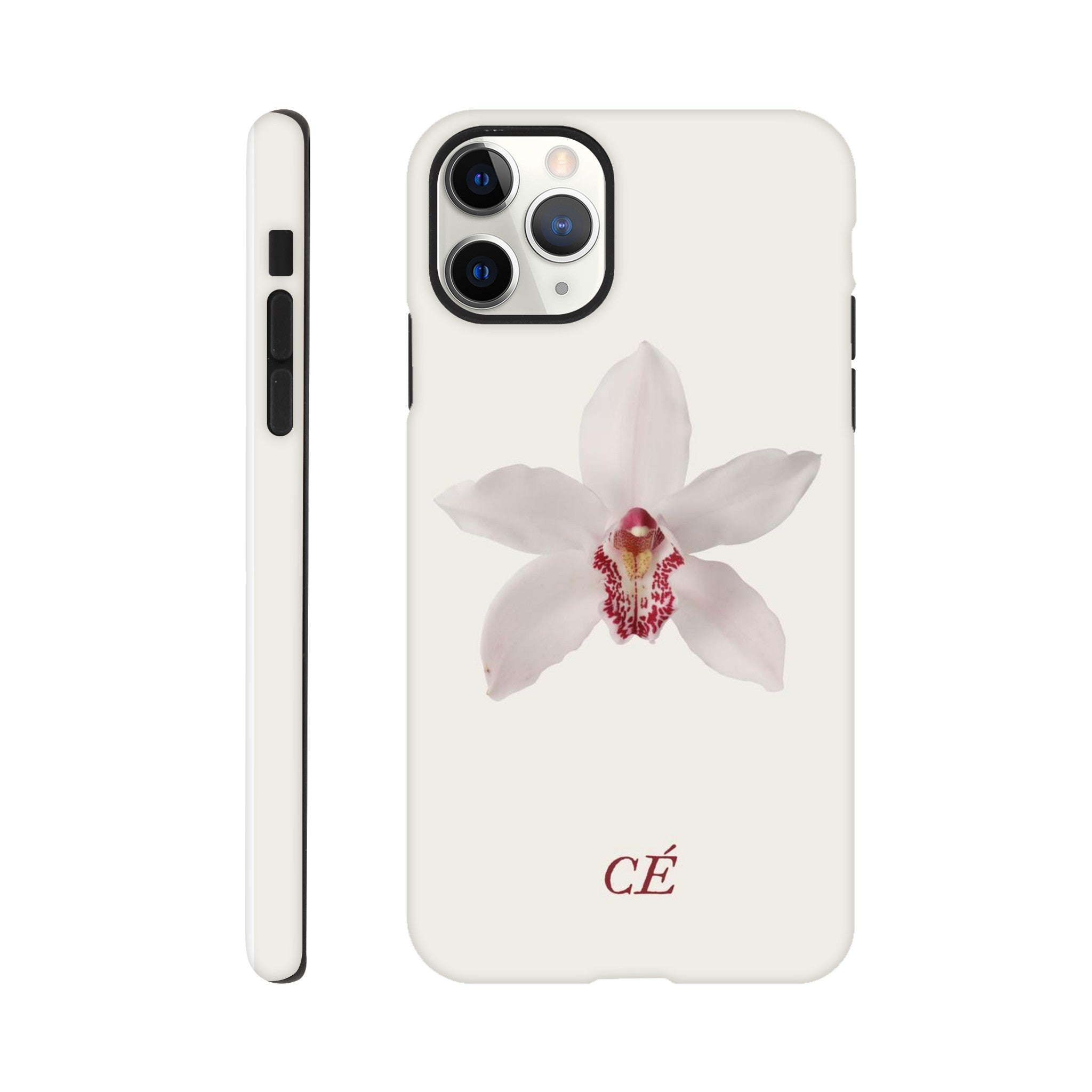 e13806f3-f0c9-4cab-9680-802008d37592